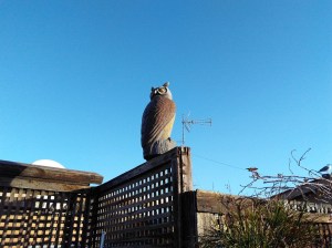 Hotel Colonna Palace de Roma (Natália Cagnani)