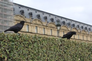 Viagem de trem pela Europa, Paris, França (Natália Cagnani)