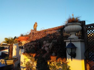 Hotel Colonna Palace de Roma (Natália Cagnani)