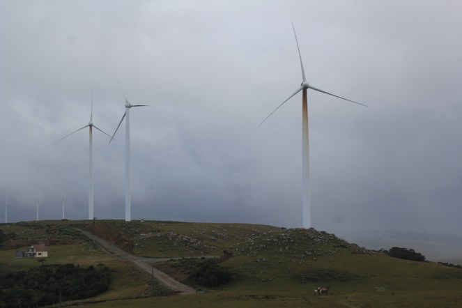 084_Viagem ao Cânion da Ronda, Serra Catarinense (Natália Cagnani)