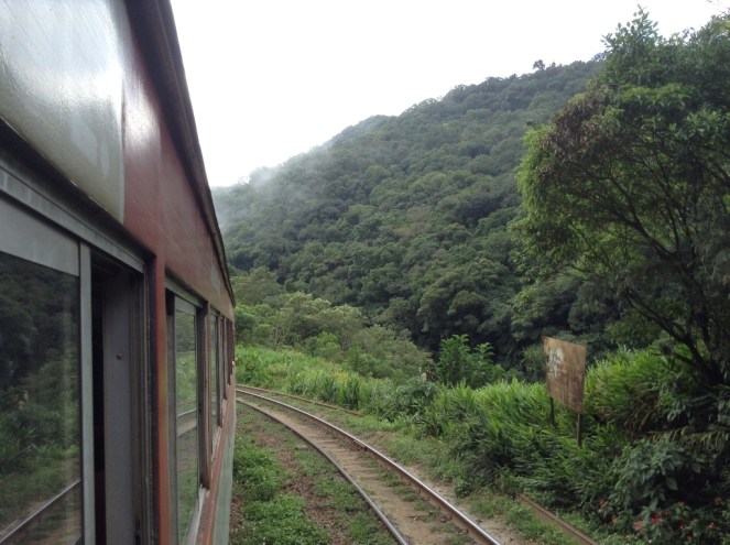 11_Viagem de trem Curitiba a Morretes, Paraná (Natália Cagnani)