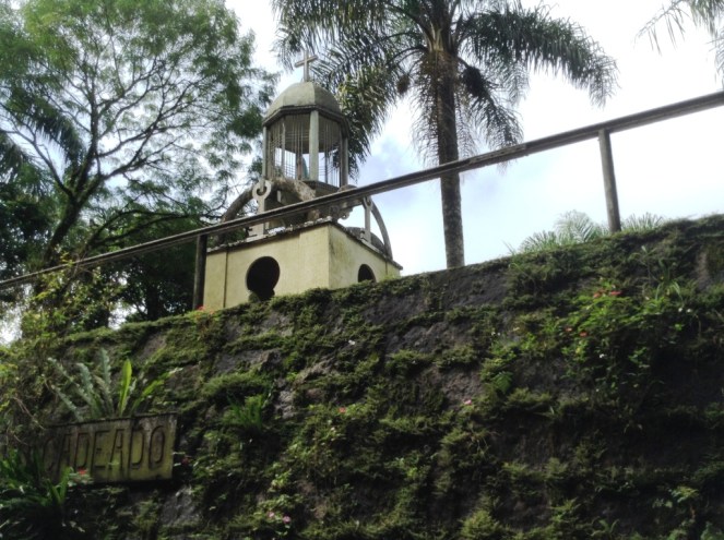 26_Viagem de trem Curitiba a Morretes, Paraná (Natália Cagnani)