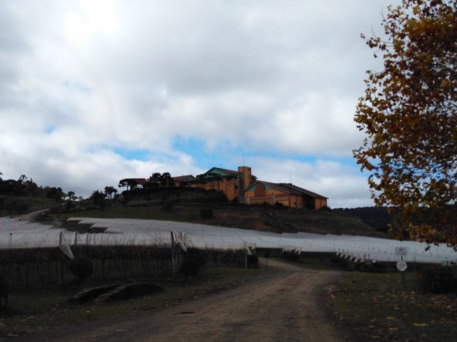 02_Visita à vinícola Villa Francioni, em São Joaquim (Natália Cagnani)