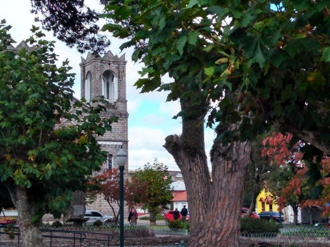 16_Viagem a São Joaquim, na Serra Catarinense (Natália Cagnani)
