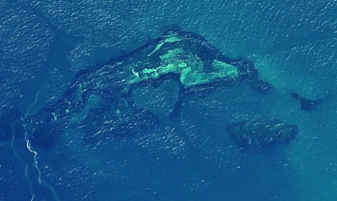 Coroa Alta, o coração dos corais na Bahia (Divulgação)