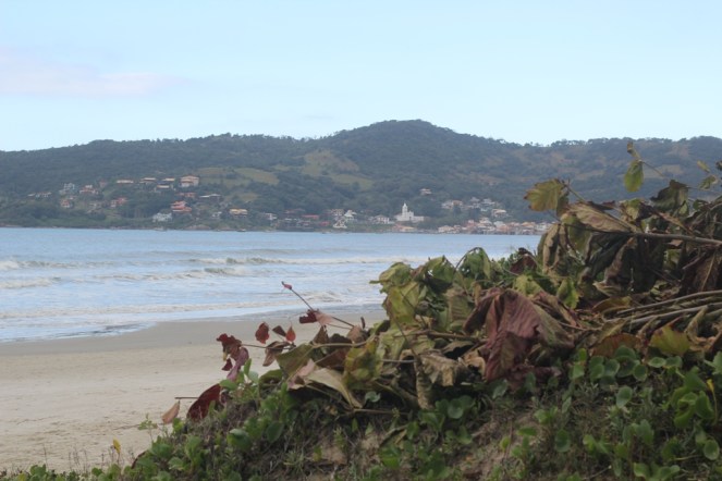 04_Praia de Garopaba (Natália Cagnani)