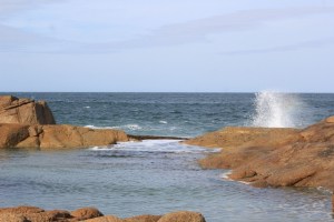 Roteiro Verde com destinos nacionais: Praia da Ferrugem e Barra em Garopaba