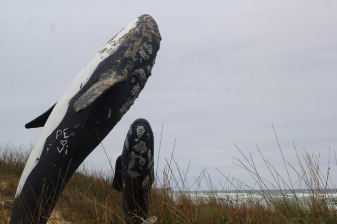 43_Praia da Villa em Imbituba (Natália Cagnani)