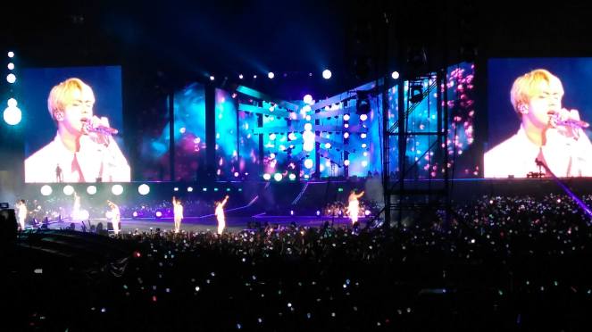 17_Show do BTS no Brasil - Tour Love Yourself Speak Yoursef 2019 (Natália Cagnani)