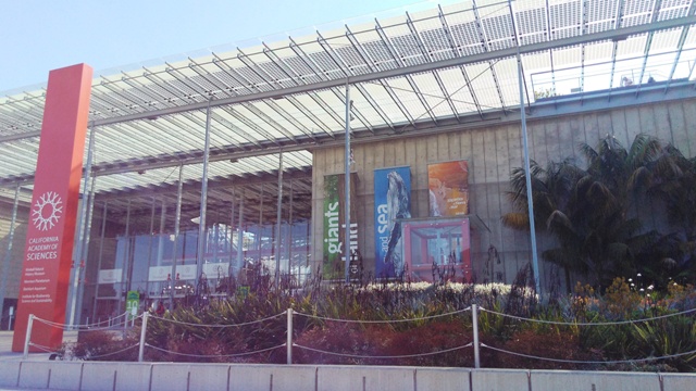 Museu de Ciências de San Francisco, na Califórnia (Natália Cagnani)