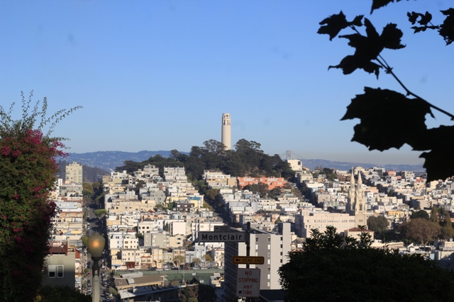 Vista da Coit Tower e de parte da baía de San Francisco (Natália Cagnani)
