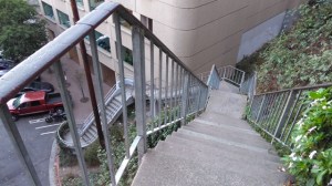 Coit Tower em San Francisco, Califórnia (Natália Cagnani)