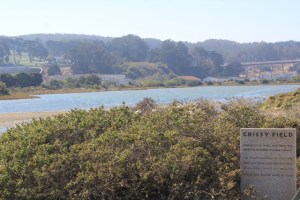 Crissy Field na Golden Gate em San Francisco (Natália Cagnani)