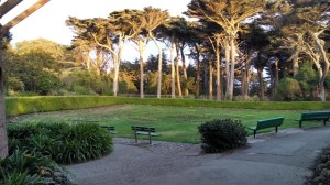 Dutch Mill no Golden Gate Park em San Francisco (Natália Cagnani)