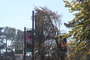 Jardim Botânico no Golden Gate Park em San Francisco (Natália Cagnani)