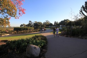 Rosas no Balboa Park em San Diego, Califórnia (Natália Cagnani)