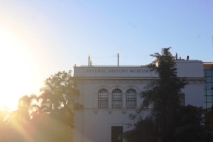 Balboa Park San Diego, Califórnia (Natália Cagnani)