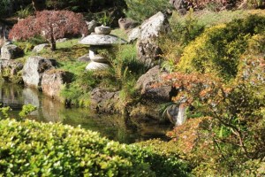 Japanese Tea Garden em San Francisco, Califórnia (Natália Cagnani)