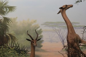 Museu de Ciências de San Francisco, na Califórnia (Natália Cagnani)