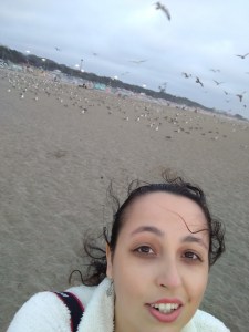 Gaivotas na praia perto do Golden Gate Park em San Francisco (Natália Cagnani)