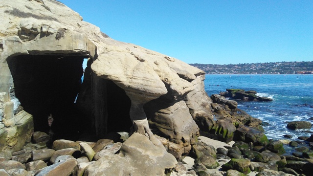 La Jolla San Diego, Califórnia (Natália Cagnani)