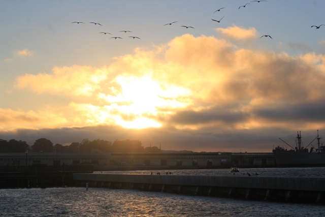 Pier 39 em San Francisco, Califórnia (Natália Cagnani)