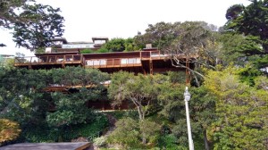 Passeio em Sausalito, Califórnia (Natália Cagnani)