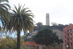 Coit Tower em San Francisco, Califórnia (Natália Cagnani)