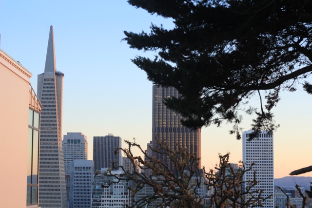 Coit Tower em San Francisco, Califórnia (Natália Cagnani)