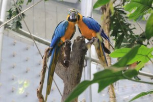 Museu de Ciências de San Francisco, na Califórnia (Natália Cagnani)