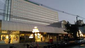 Shopping Novo Batel em Curitiba (Natália Cagnani)