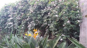 Hotel Full Jazz Slaviero no Batel em Curitiba (Natália Cagnani)