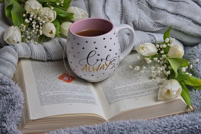 Colocar a leitura em dia (Anrita1705 por Pixabay)