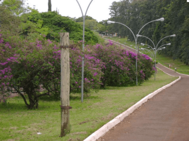 Bosque das Grevíleas (Divulgação Prefeitura)