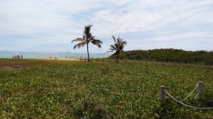 Praias de Vila Velha ES | Praia de Itapoã (Natália Cagnani)