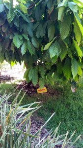 Visita à fábrica de chocolates Garoto em Vila Velha e Vitória ES (Natália Cagnani)