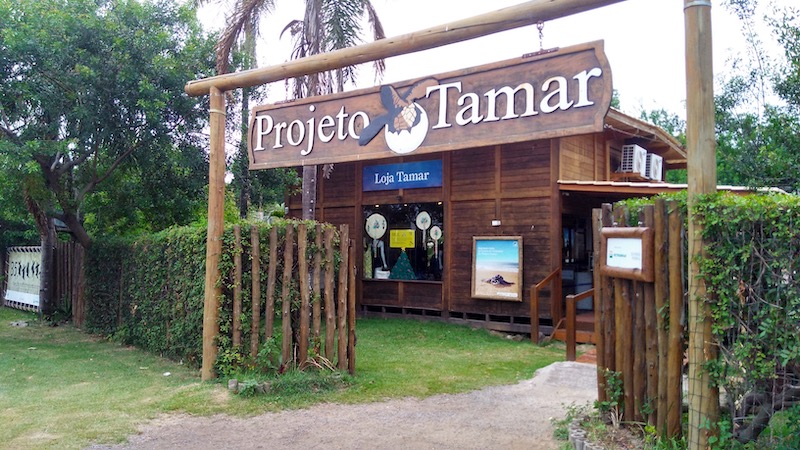 Projeto Tamar em Vitória