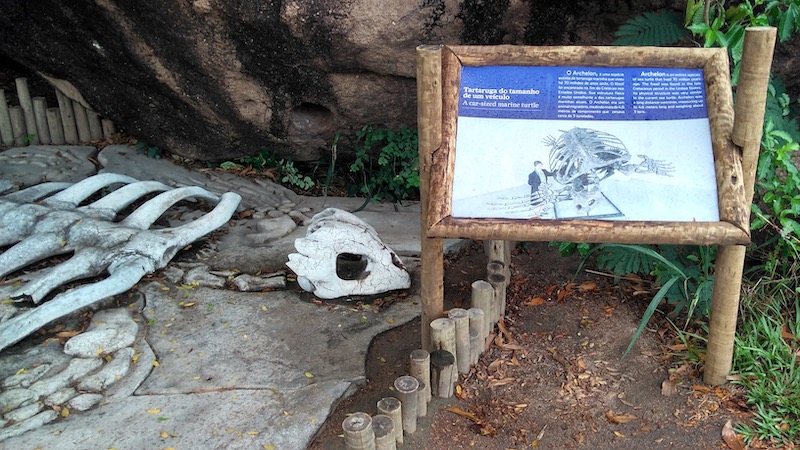 Projeto Tamar em Vitória