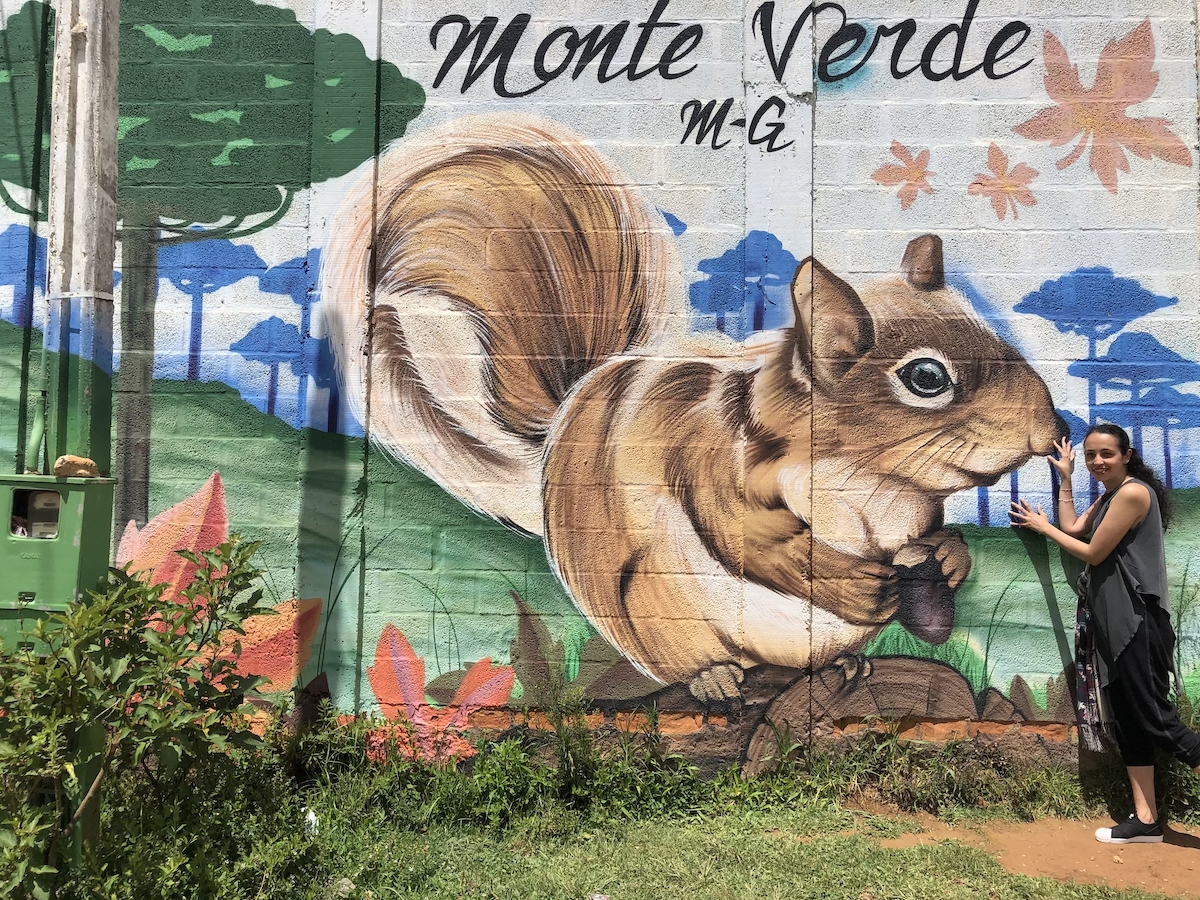 Grafite de esquilo no aeroporto mais alto do Brasil em Monte Verde