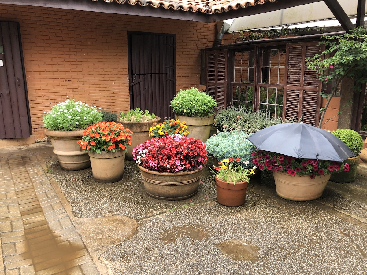 Estufa de plantas no Parque Amantikir em Campos do Jordão
