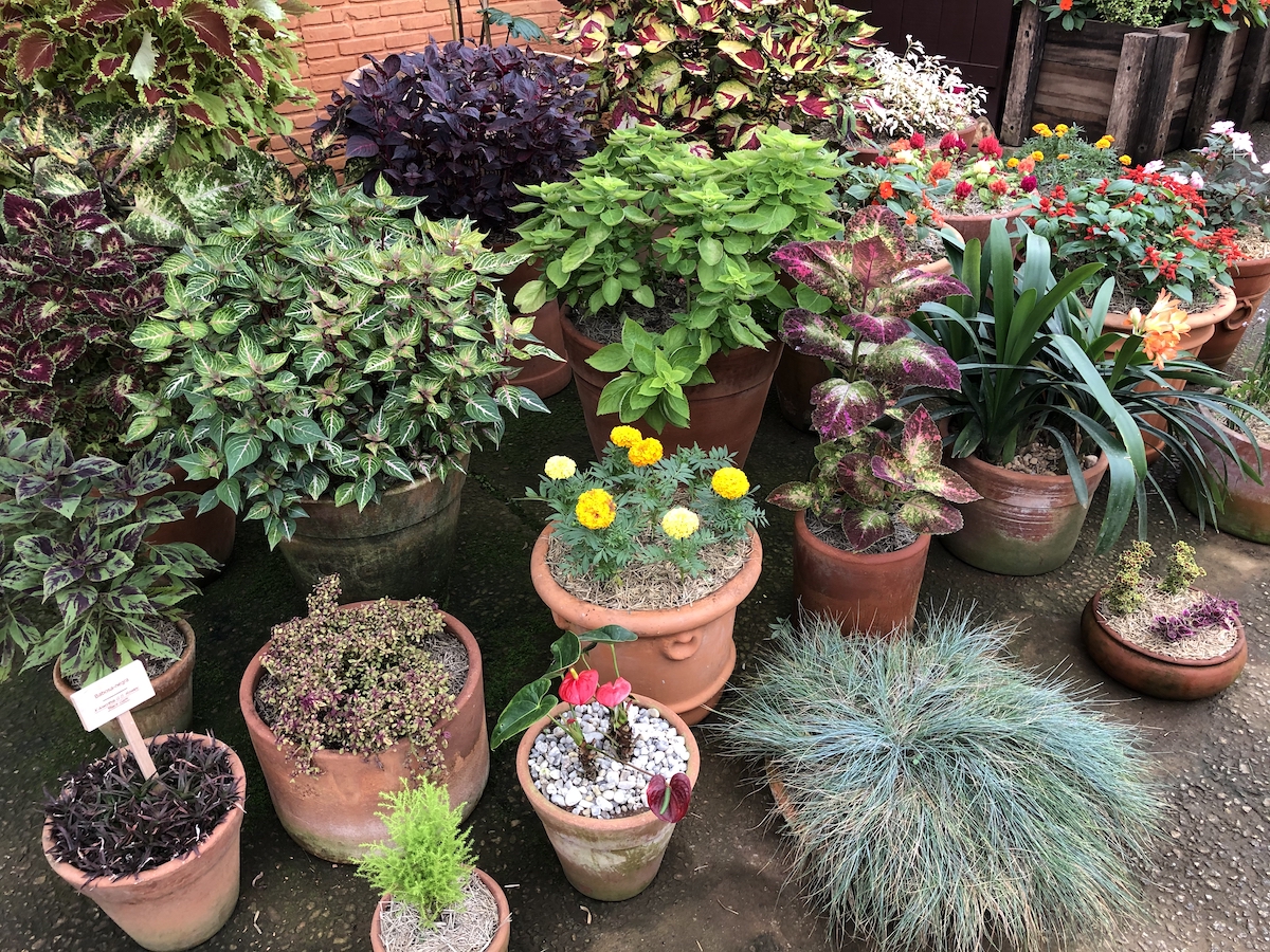 Estufa de plantas no Parque Amantikir em Campos do Jordão