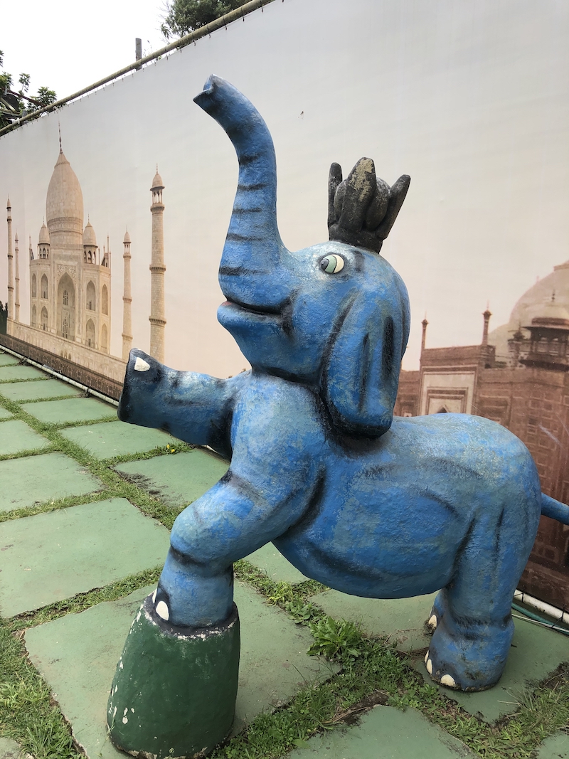 Parque dos Elefantes no Morro do Elefante em Campos do Jordão