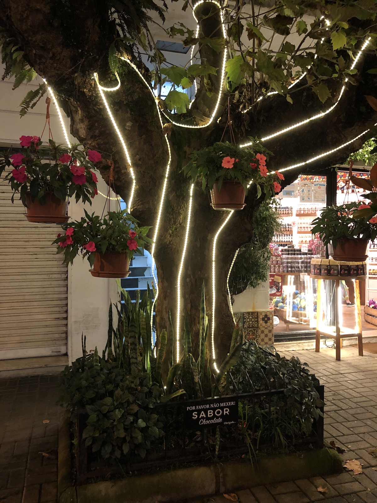 Luzes natalinas na Vila Capivari em Campos do Jordão