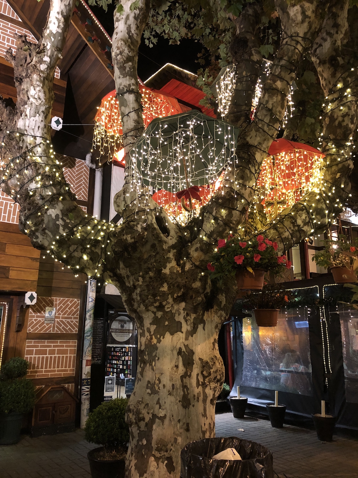 Luzes natalinas na Vila Capivari em Campos do Jordão