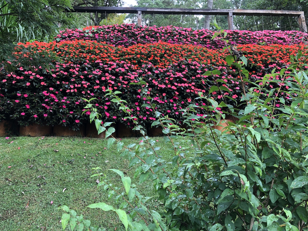 Jardins no Parque Amantikir em Campos do Jordão