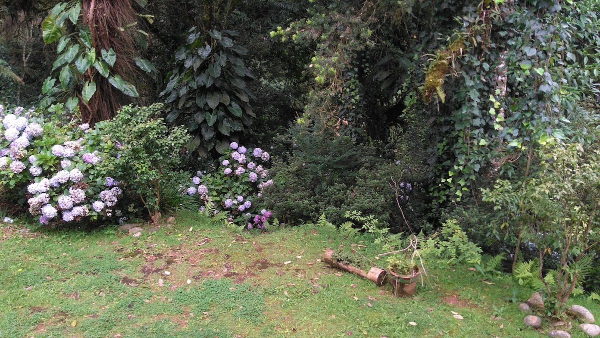 Pousada Morro do Elefante em Campos do Jordão