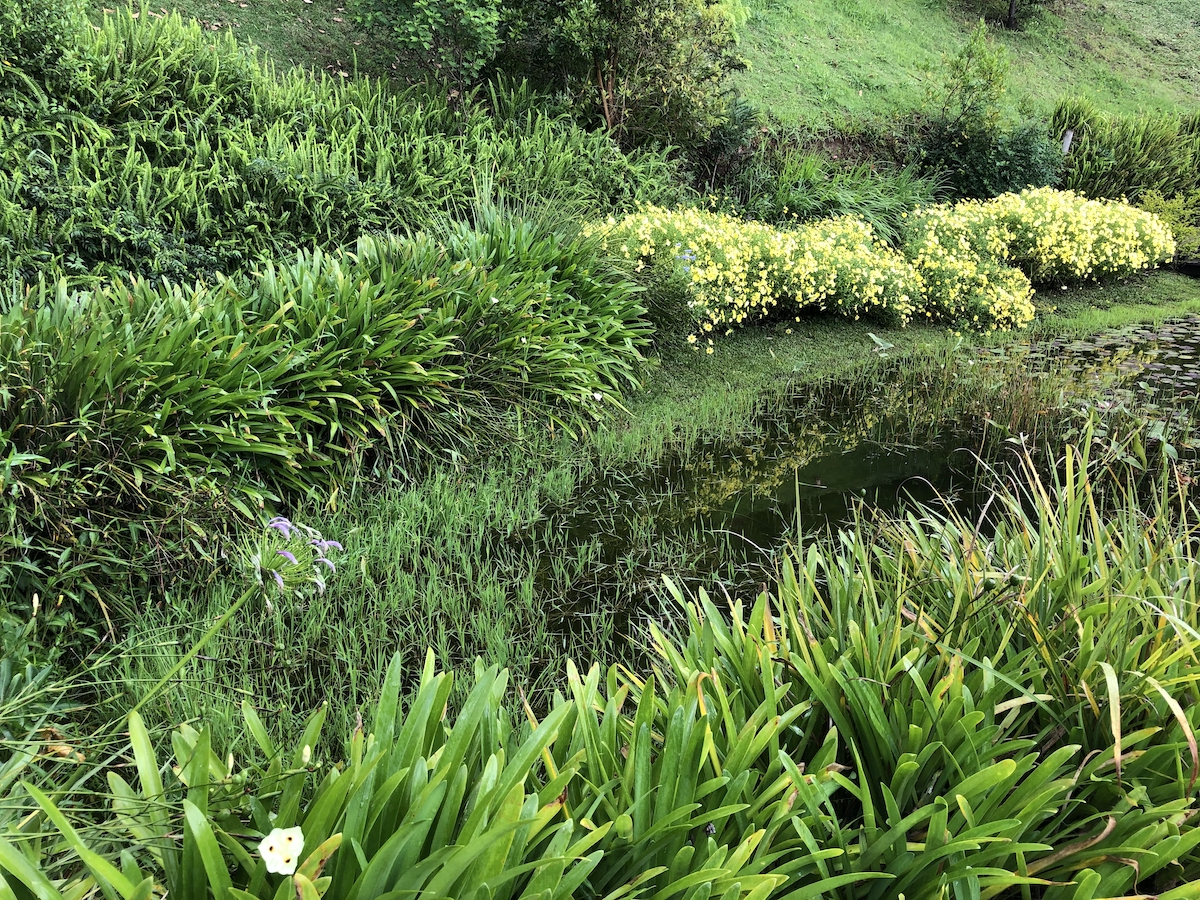 Jardins no Parque Amantikir em Campos do Jordão