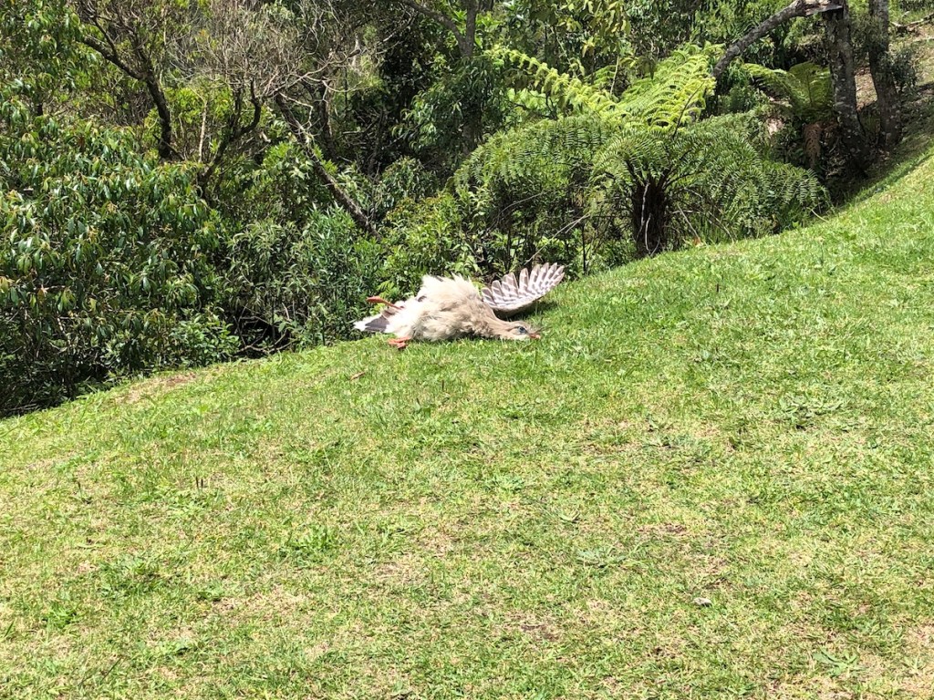 Pico do Itapeva em Campos do Jordão