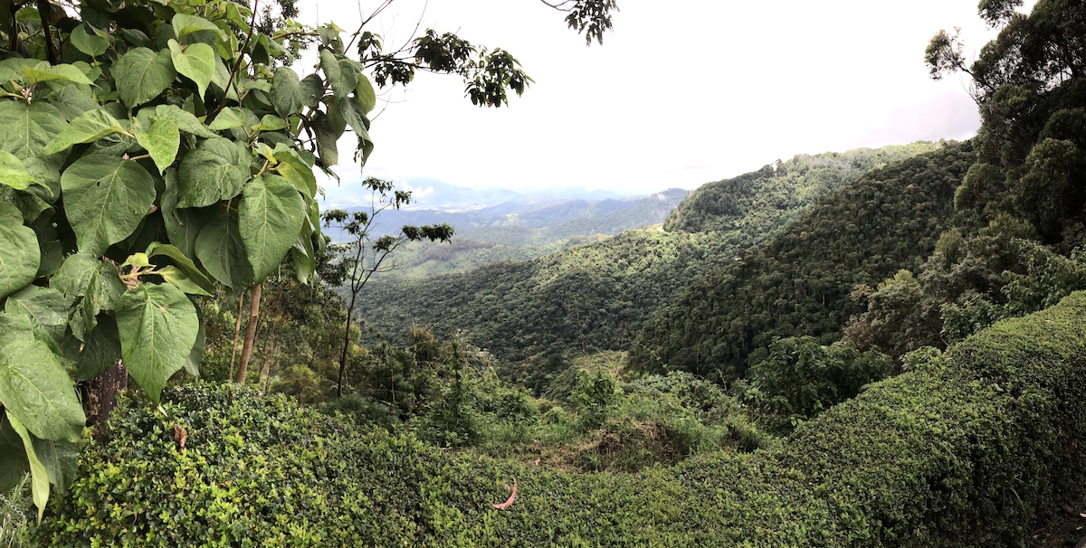 Vista panorâmica do mirante no Parque Amantikir em Campos do Jordão