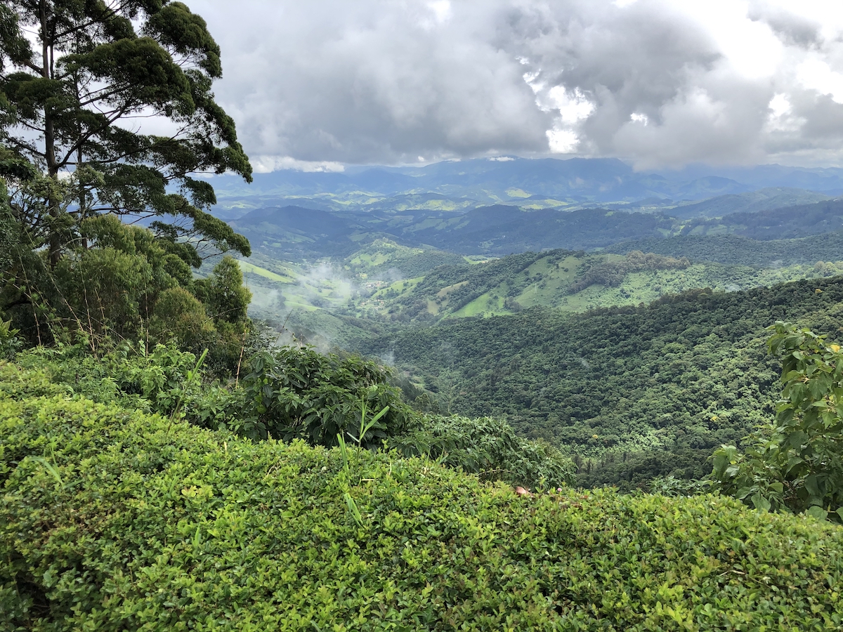 Vista panorâmica do mirante no Parque Amantikir em Campos do Jordão